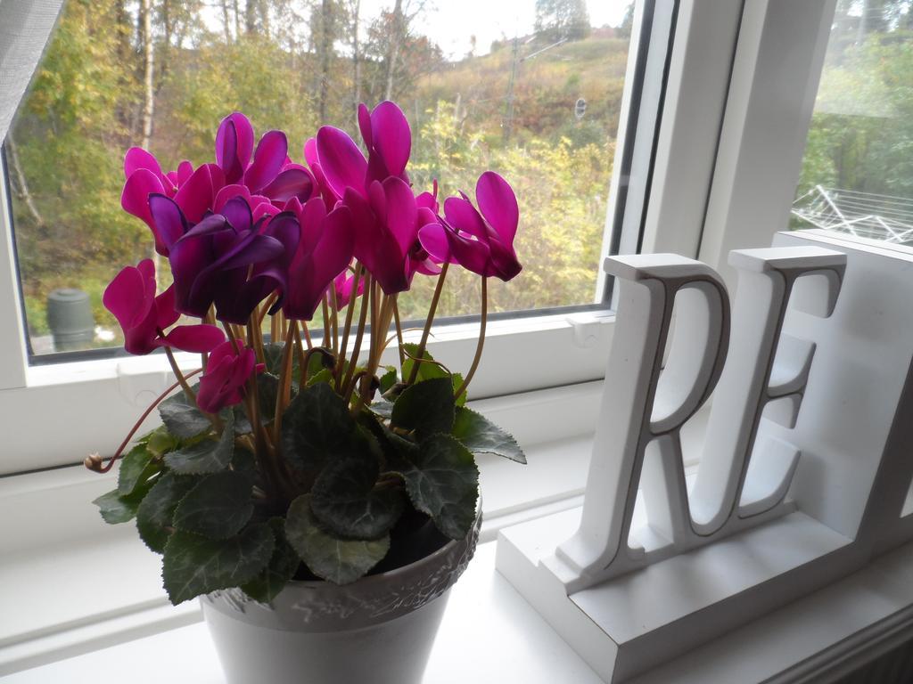 Landvetter Bnb Härryda 部屋 写真